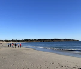 J01C_bretagne-2026-03