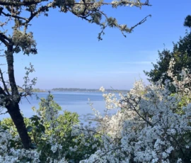 J02A_bretagne-2026-03